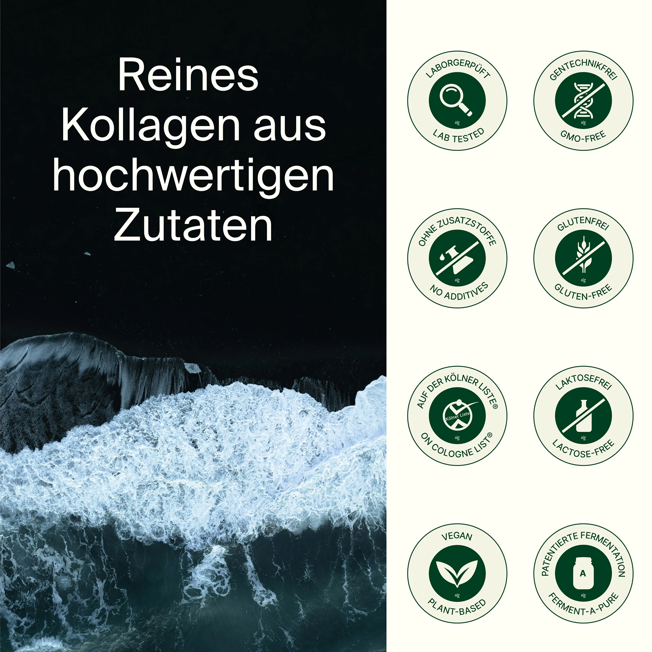 Kollagen Hydrolysat