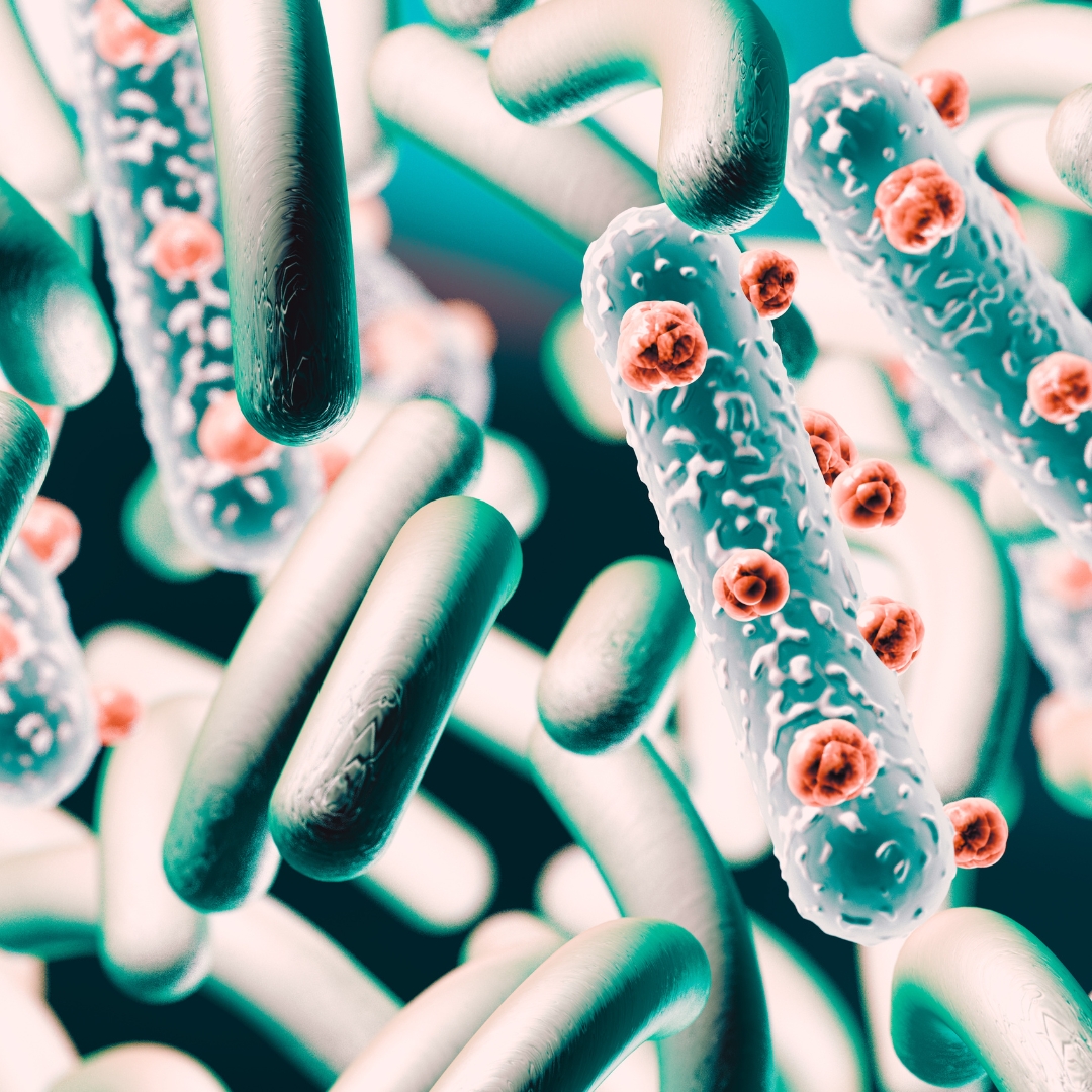 Biotic Bild zu Wide range of bacterial strains