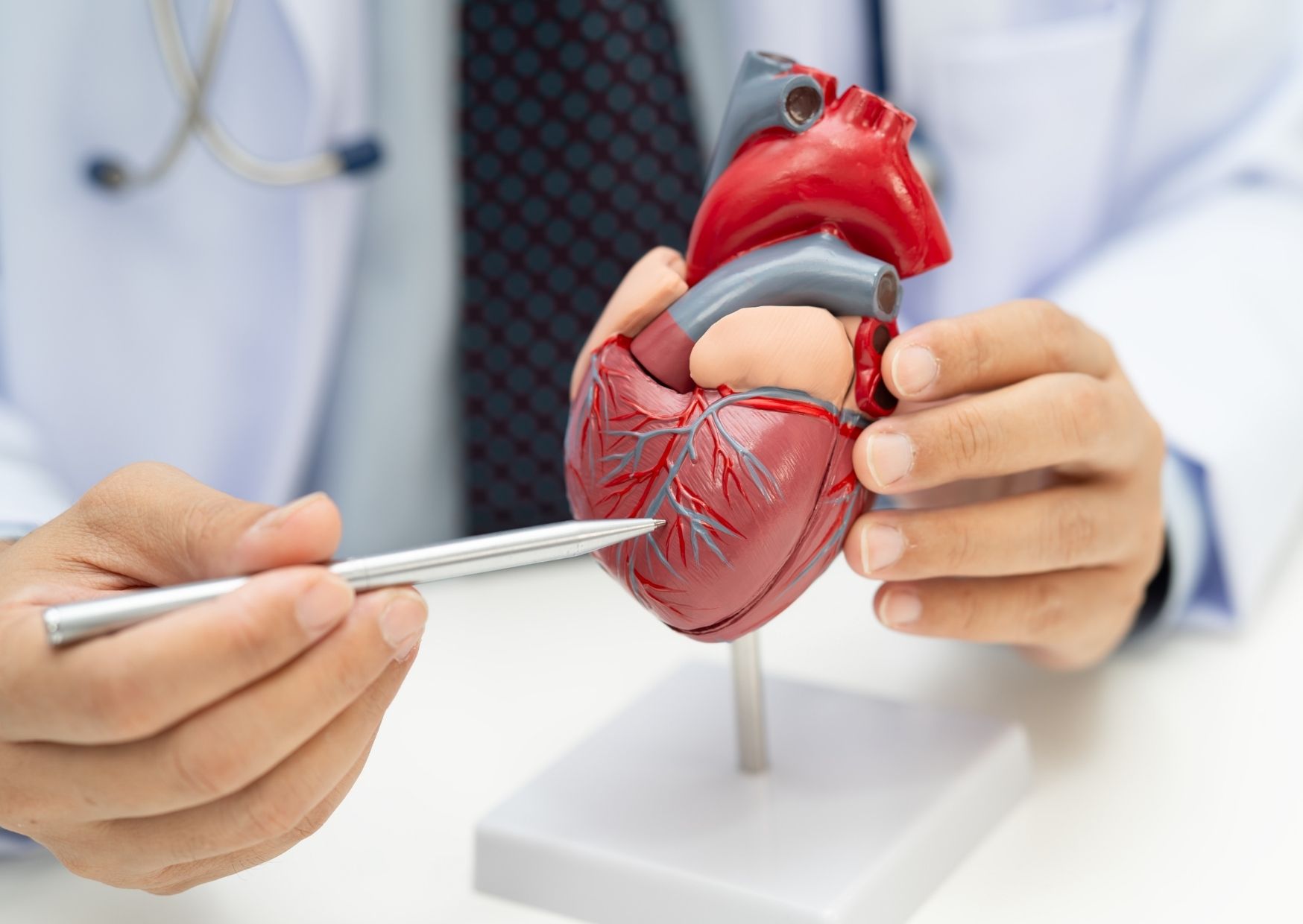 Understanding coronary heart disease (CHD) and protecting your heart