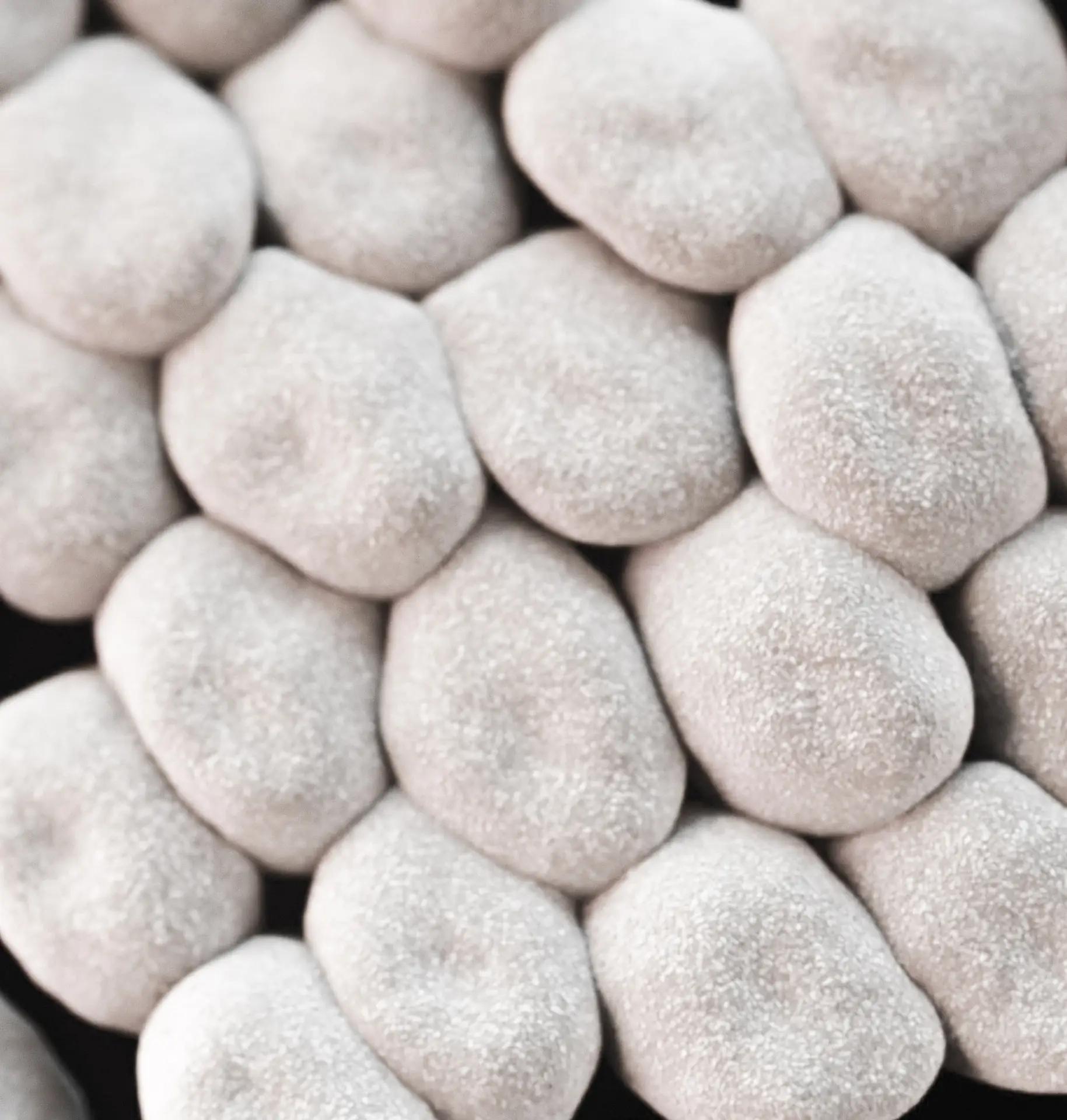 Floral | Probiotische Zahnprophylaxe Bild zu 500 Mio. probiotische Milchsäurebakterien