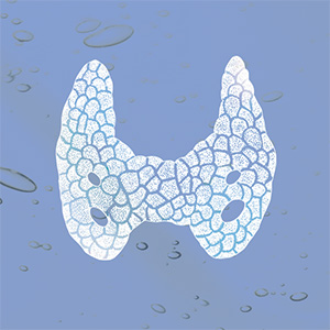 Metabolism Set Bild zu Thyroid Function