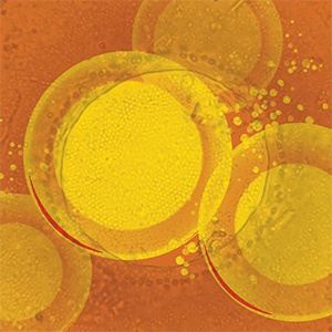 Astaxanthin Bild zu Leistungsfähiges Antioxidant