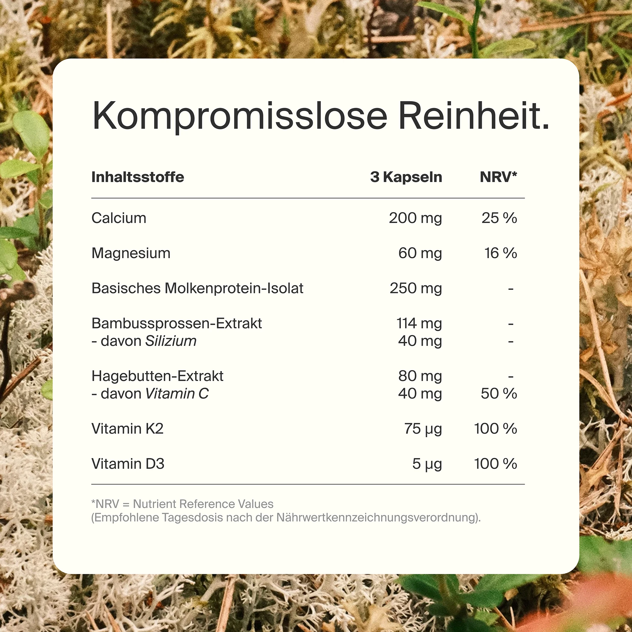 Knochen Komplex