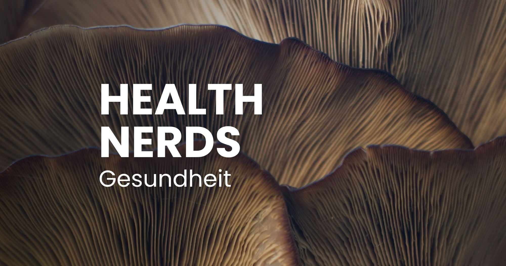 Nahrungsergänzungsmittel