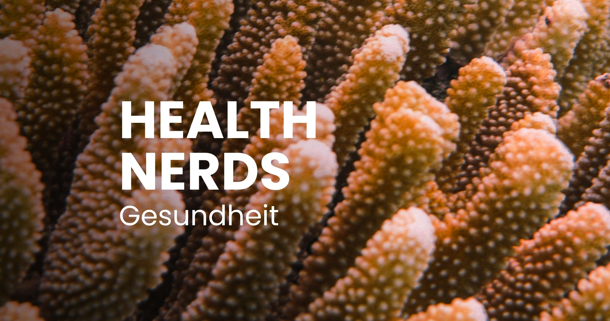 Nahrungsergänzungsmittel