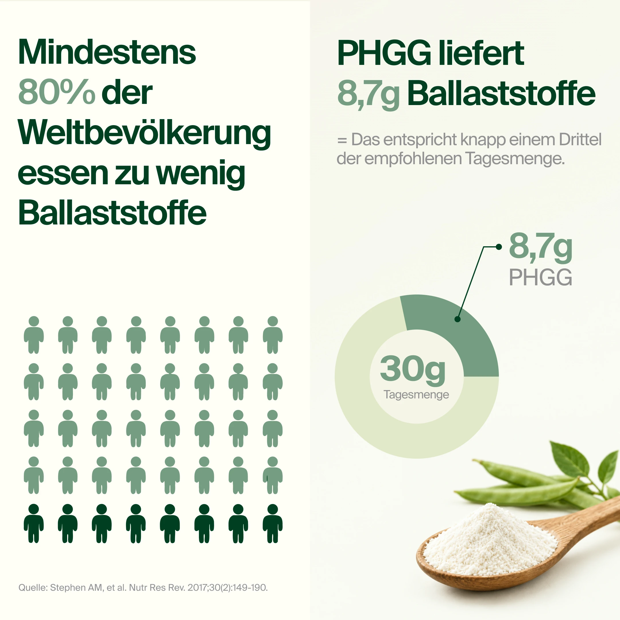 BiomFiber™ PHGG Guarkernmehl