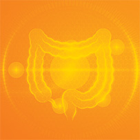 Mikrobiom Balance Set Bild zu Unterstützt die Regeneration der Darmschleimhaut