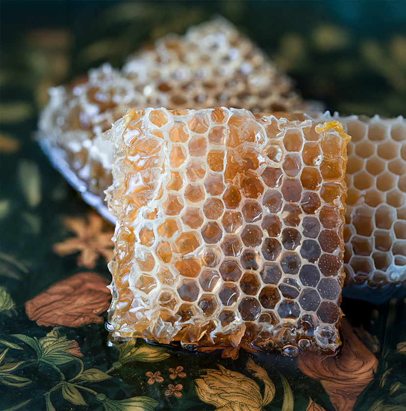 Darstellung von Manuka Honig – natürliche Unterstützung für dein Immunsystem