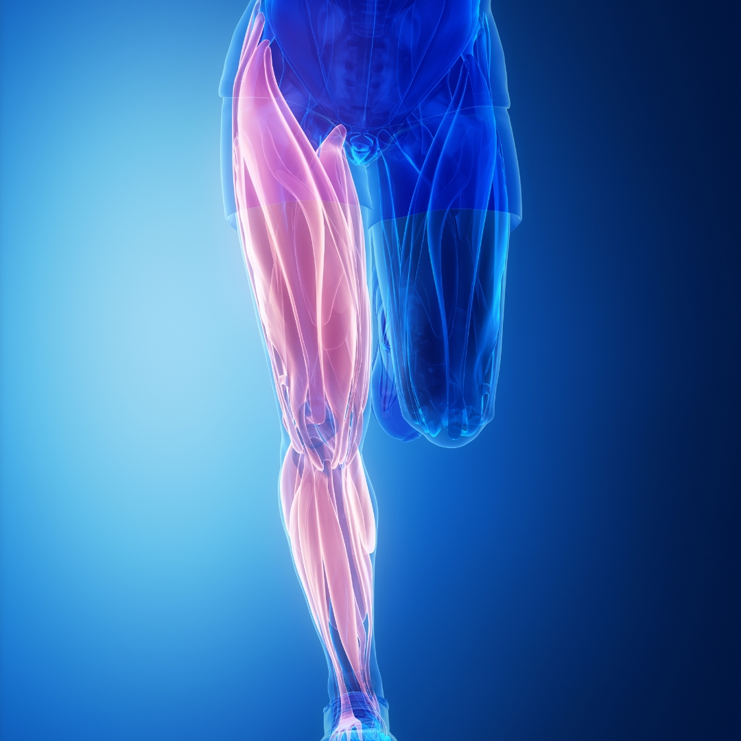 Regeneration Set Bild zu Muskelregeneration