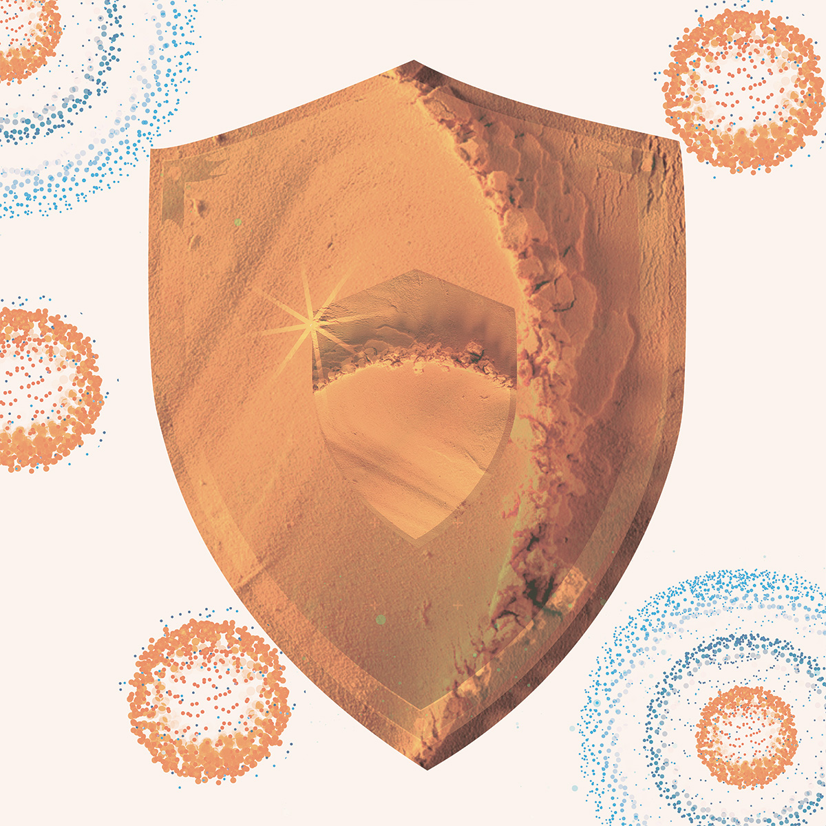 Daily Essentials Set Bild zu Immun-Support