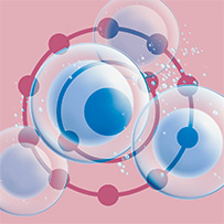 Nzym Enzym Komplex Bild zu Spezialkomplex - an Aufspaltung von Vielzahl an Nährstoffen beteiligt