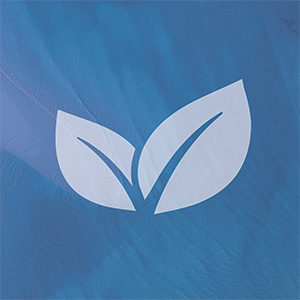 Metabolism Set Bild zu Vegan & Pure