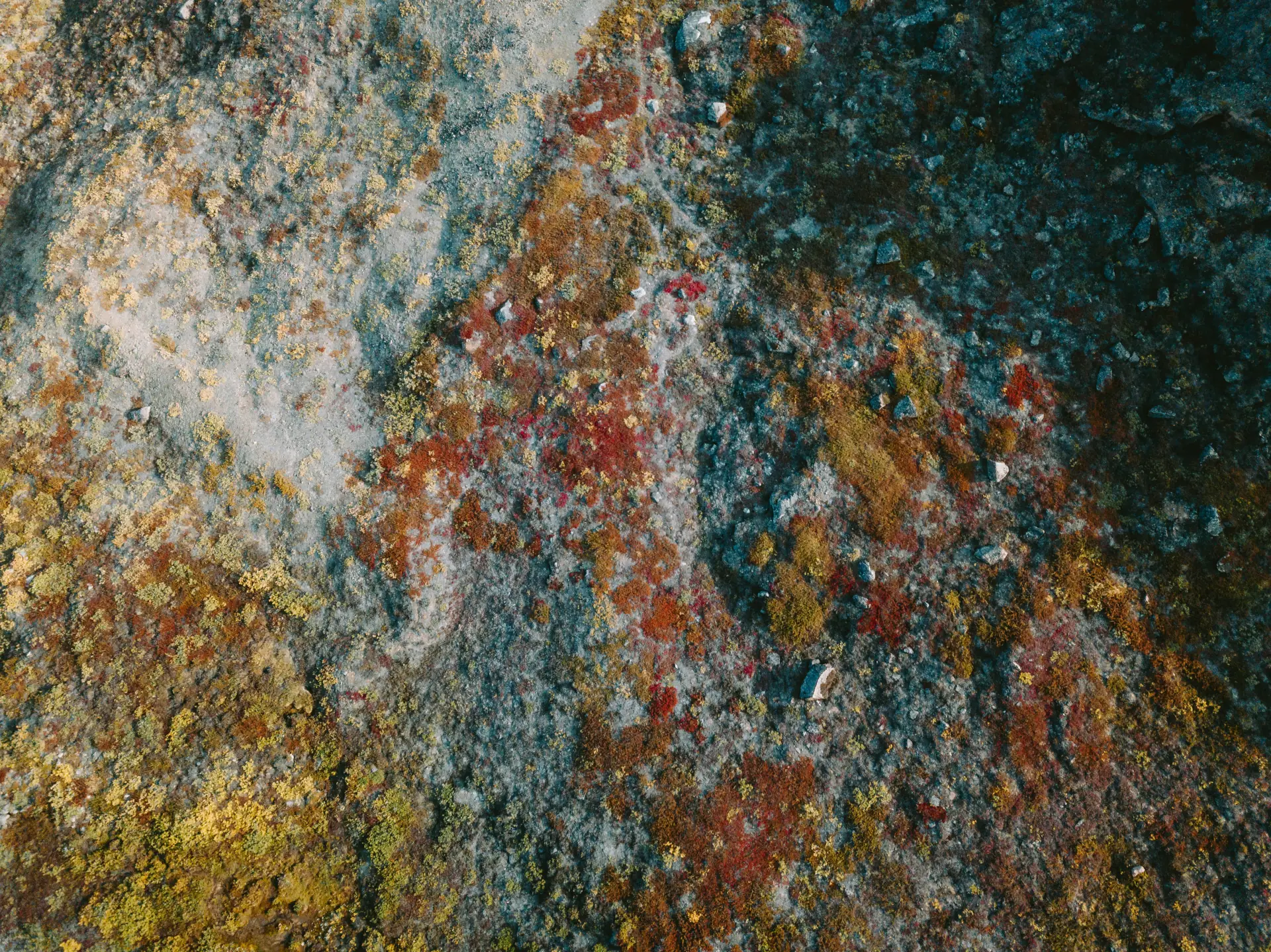 L-Glutamin und Darmgesundheit: Wirkung, Vorteile & Dosierung der Aminosäure