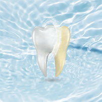 Floral Bild zu Reduction of plaque