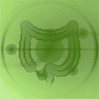 Liver Complex OPC Bild zu Supports digestion