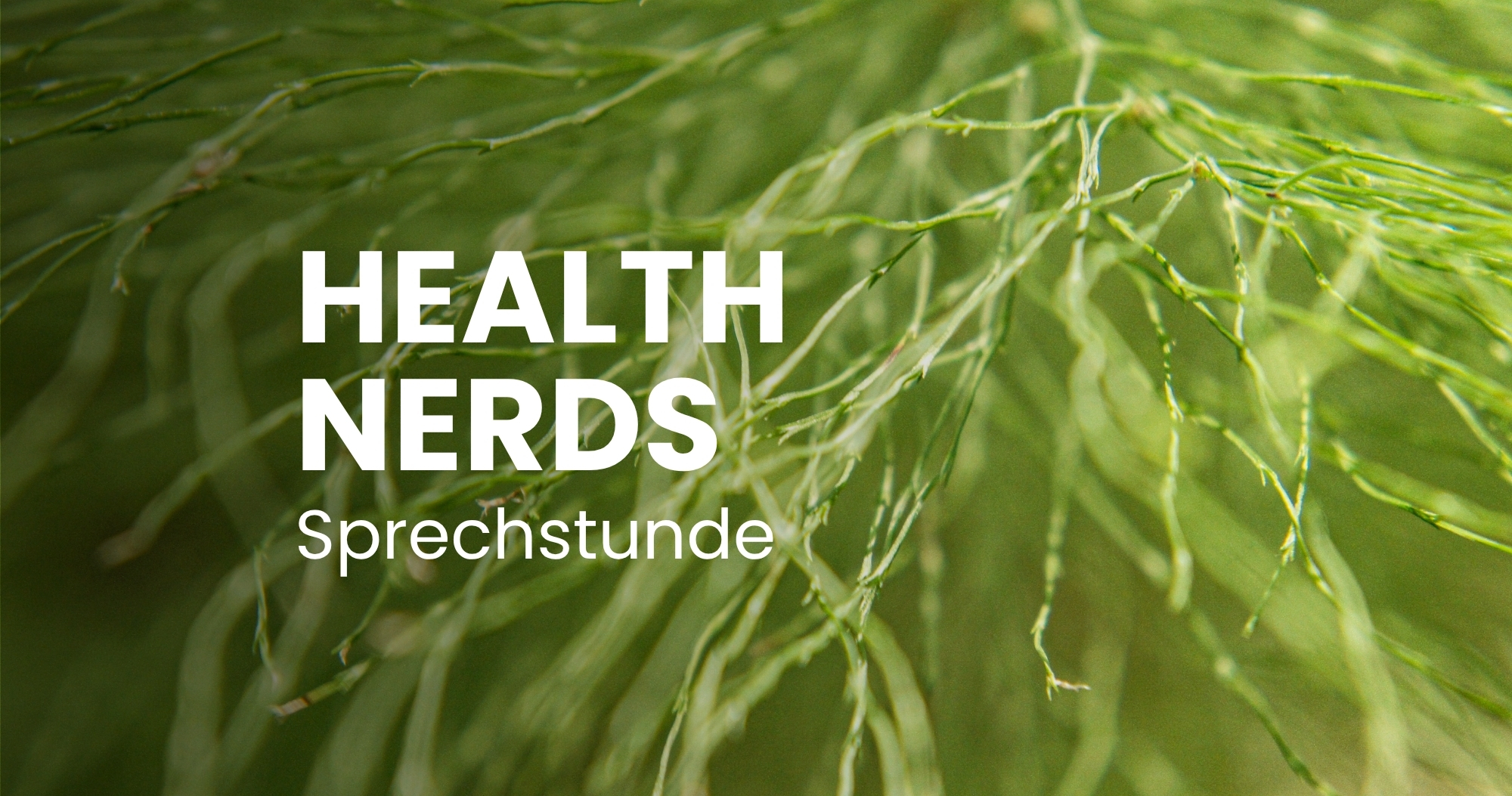 Sprechstunde: Eure Fragen zur Darm-Mikrobiom-Hirn-Achse
