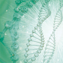 Liver Complex OPC Bild zu Promotes fat metabolism¹