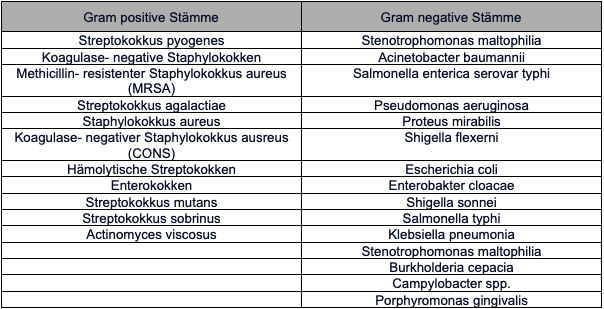 Premium Nahrungsergänzungsmittel & Superfood
