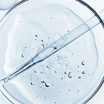 Omega 3 Bild zu Niedriger TOTOX-Wert (7)