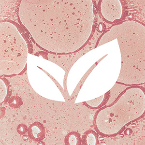 Blutzucker Komplex Bild zu Aktivierung der natürlichen Stoffwechselprozesse