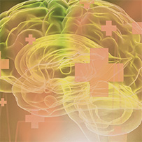 Daily Essentials Set Bild zu Nervengesundheit