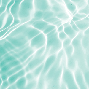 Kollagen Bild zu Vielseitige Anwendung