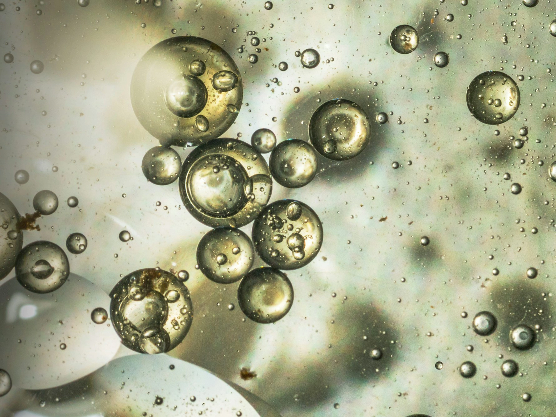 Bild zu LiposoMax® Technologie für schützende Matrix³