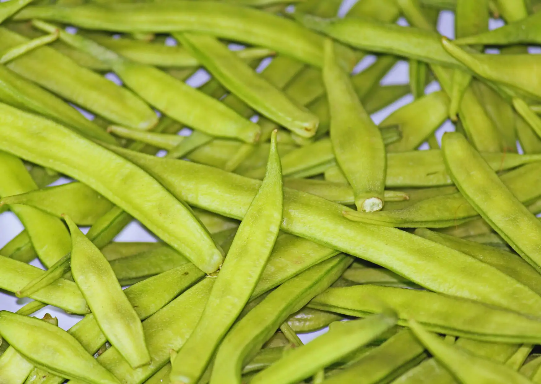 neue innovationen phgg ag