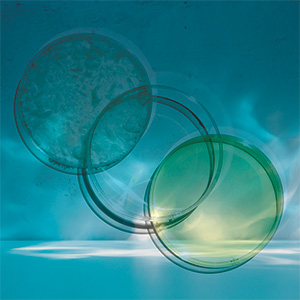 Elektrolyte Pure Bild zu Ultra-pure citrates: magnesium, potassium, calcium, sodium