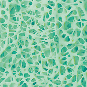 Kollagen Bild zu Gezielte Unterstützung für Knochen, Gelenke, Muskeln & Haut