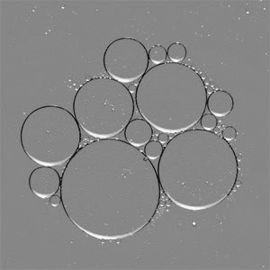 Magnesium Bild zu Fast absorption