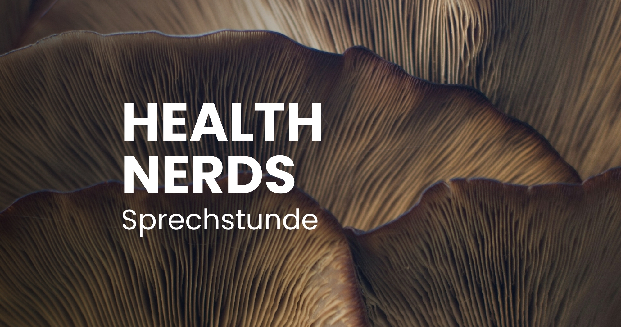 SPEAKING HOUR: Your questions about gut health and measures for a gut in balance