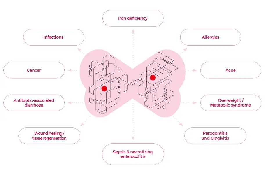 artgerecht LACTOFERRRIN INDIKATIONEN HEILUNG IMMUNSYSTEM