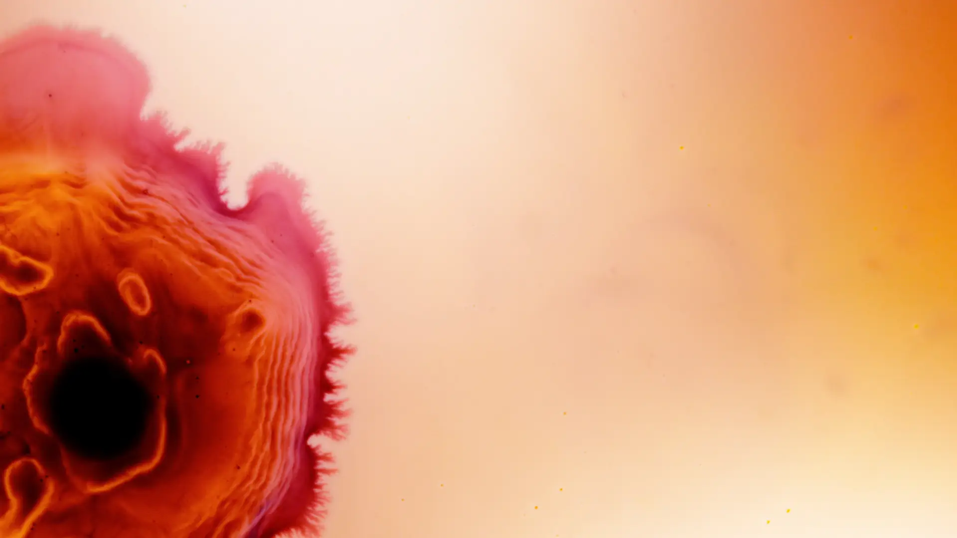 Darstellung von Vitamin B12 Spray 280 µg – natürliche Unterstützung für dein Immunsystem