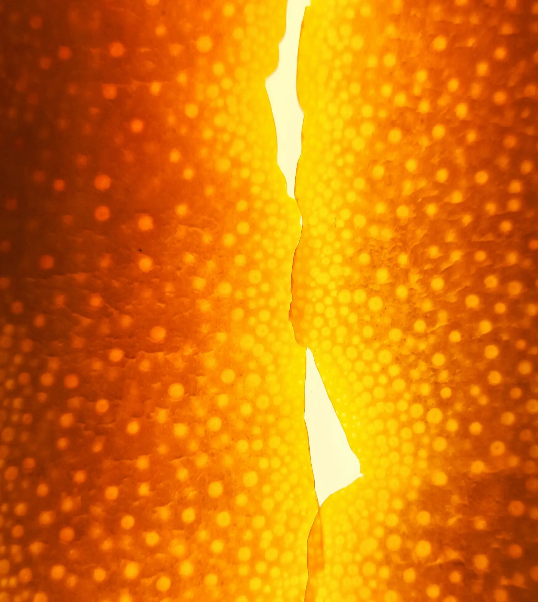 Vitamin B12 Spray 280 µg Bild zu 100% natürliche Rohstoffquellen