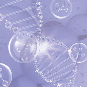 Resveratrol Longevity Bild zu One of nature’s most powerful antioxidants