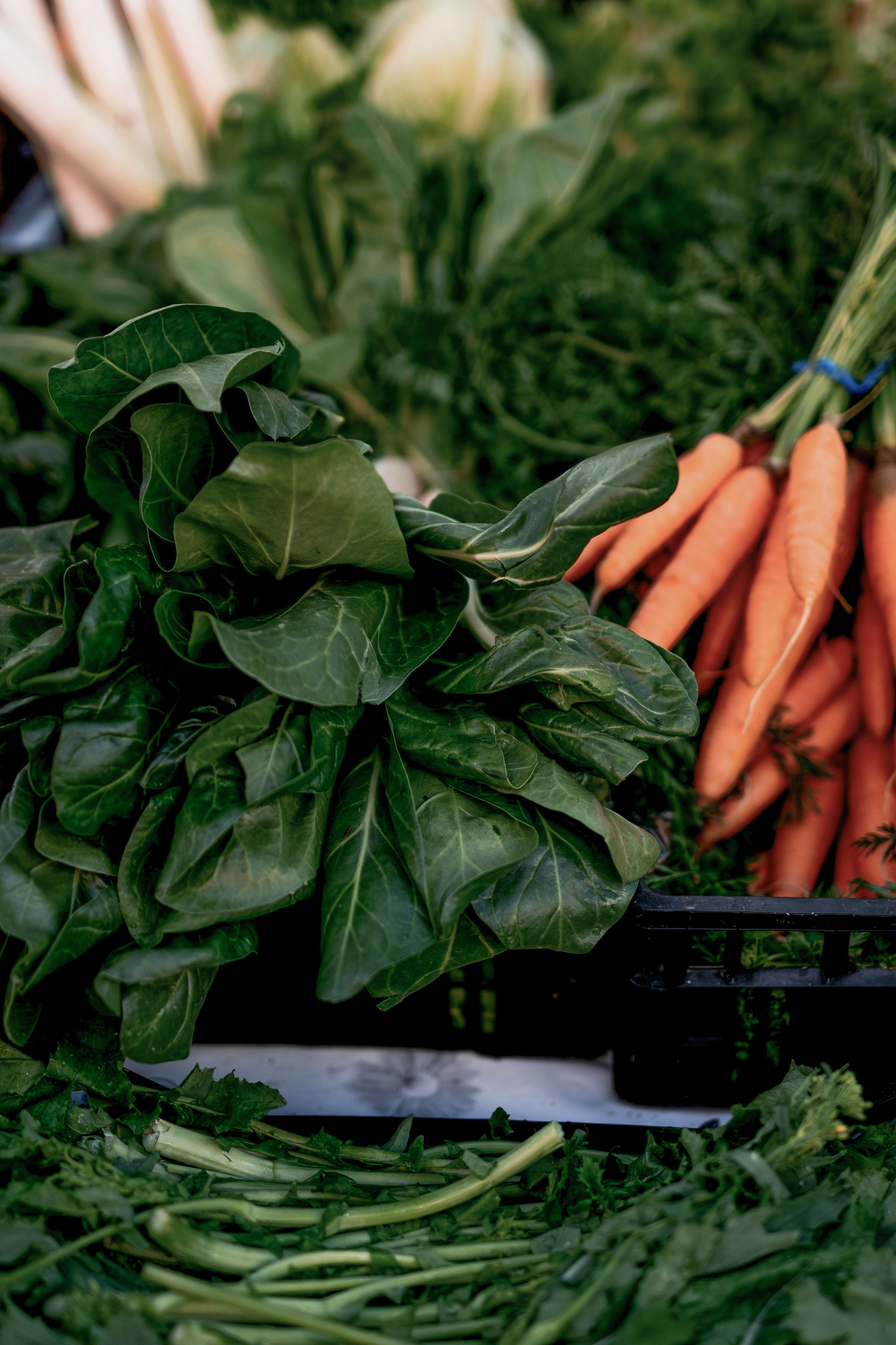 Darstellung von Multivitamin Mineralstoff Komplex – natürliche Unterstützung für dein Immunsystem