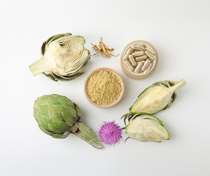 Übersicht der Inhaltsstoffe von Liver Complex OPC – natürlich & rein