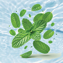 Floral Bild zu Pleasant mouthfeel with mint flavor