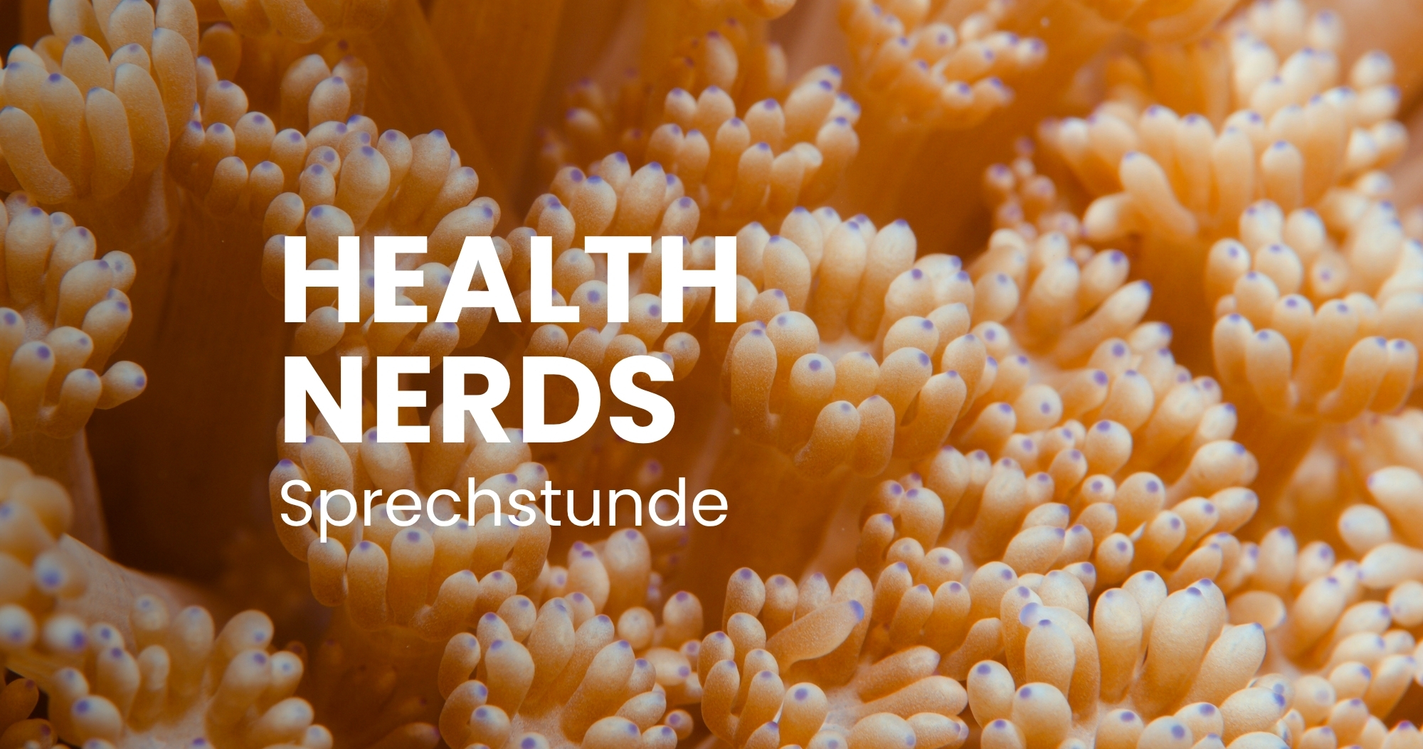 Consultation Hour: Gut Health & Science Explained