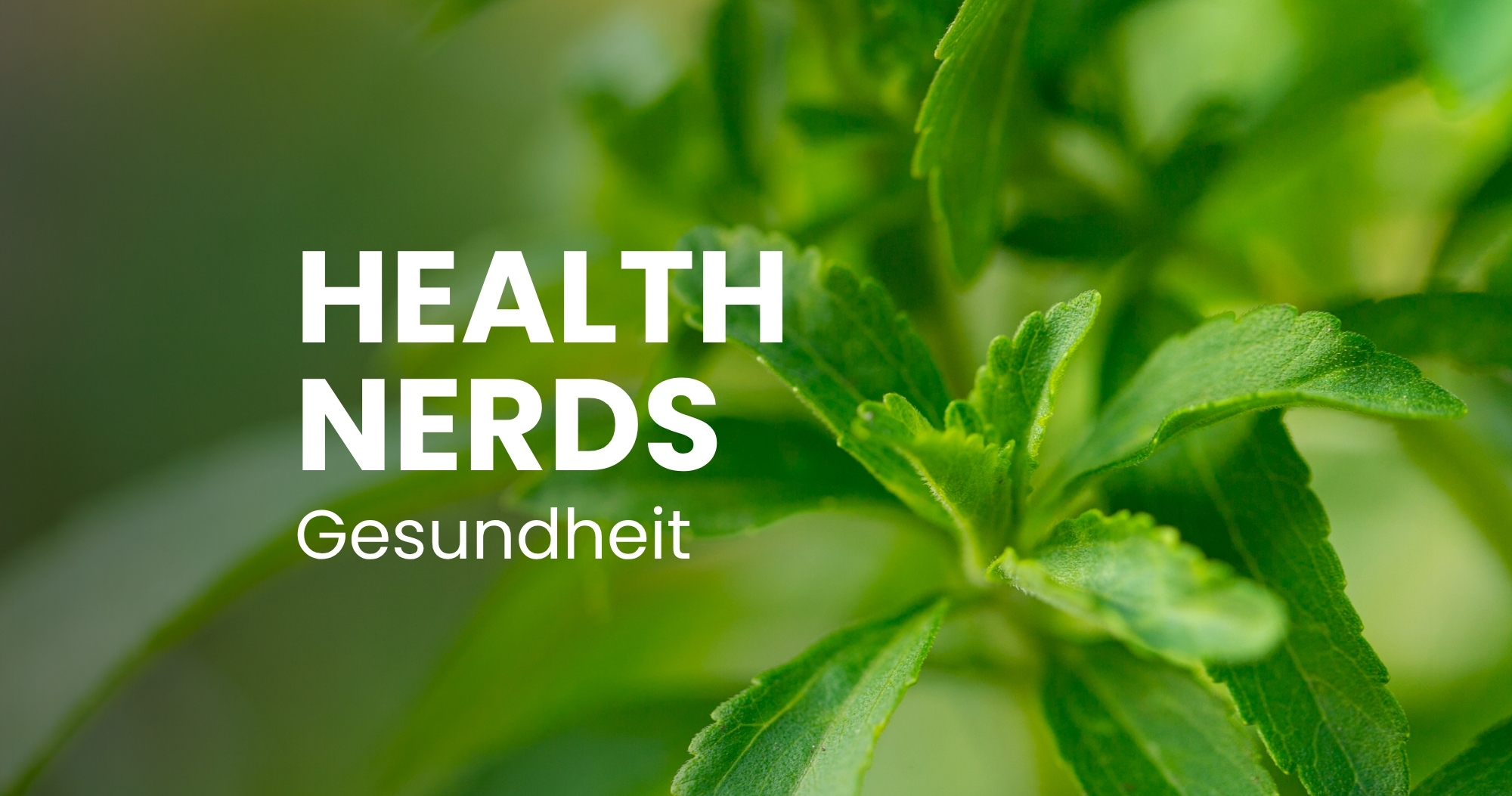 Health Podcast: Cancer risk from sugar substitutes?