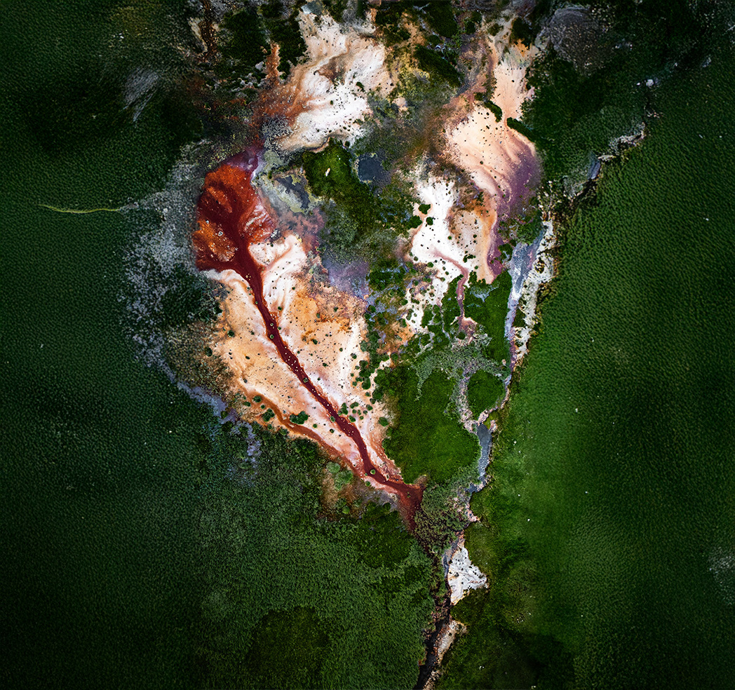 Übersicht der Inhaltsstoffe von Multi – natürlich & rein