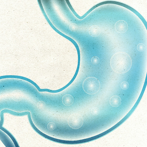 Biotic Bild zu Darmbalance