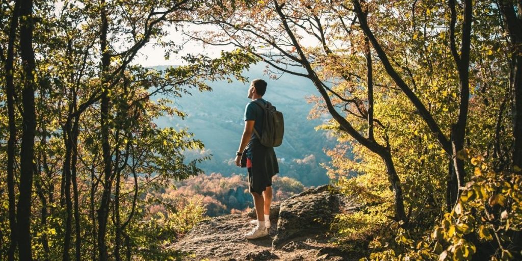 artgerecht Magazin: Mentale Gesundheit – Waldbaden nährt die Seele