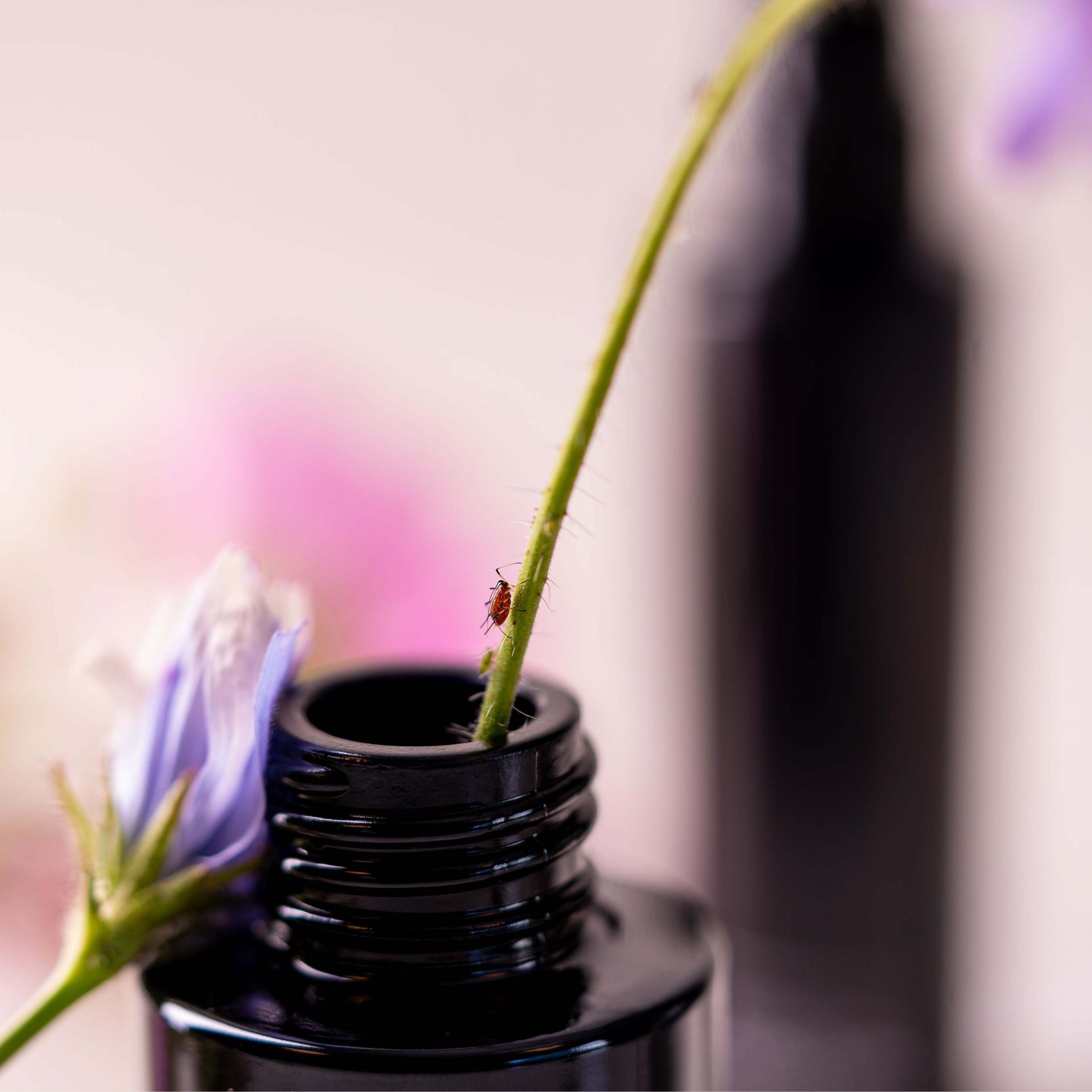 artgerecht 28 LOOKBOOK 1920X1920