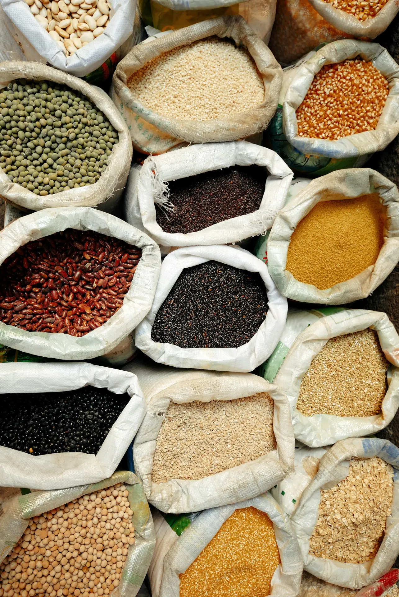 Übersicht der Inhaltsstoffe von Multivitamin Mineralstoff Komplex – natürlich & rein