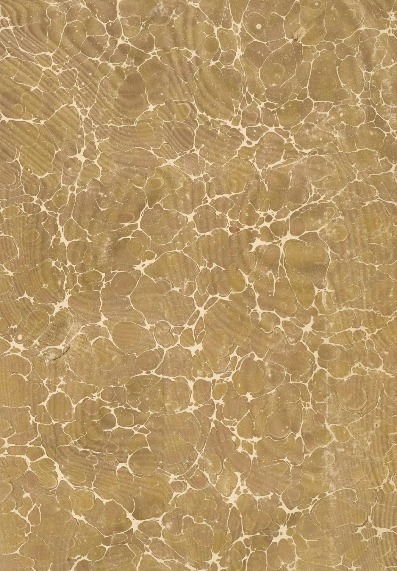 Enzym Komplex Bild zu 100% artgerecht: Mikro-Pilze, Hefen, Pflanzen