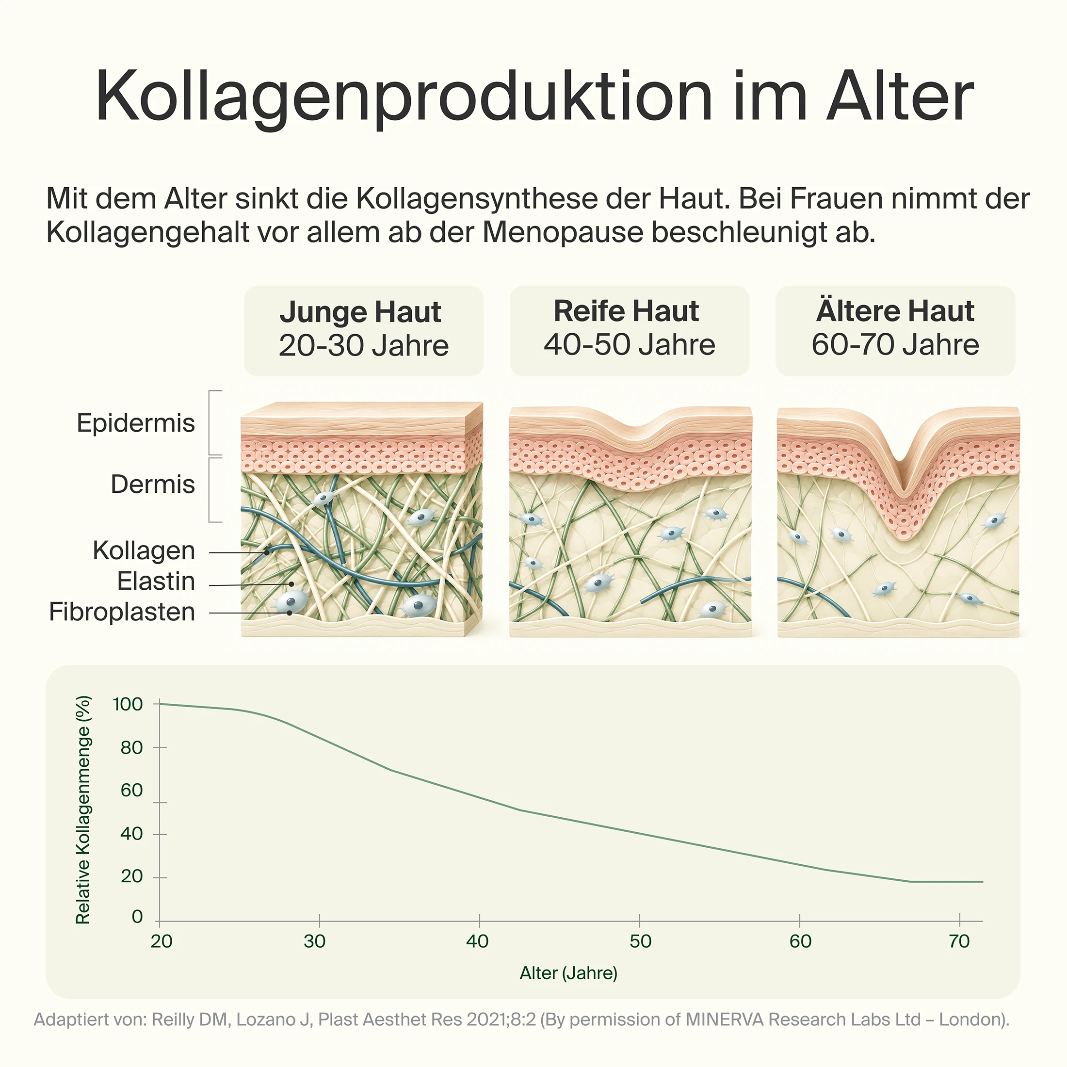 Kollagen Hydrolysat