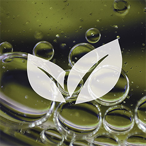 Q10 PQQ Complex Bild zu  Vegan, pure & lab-tested