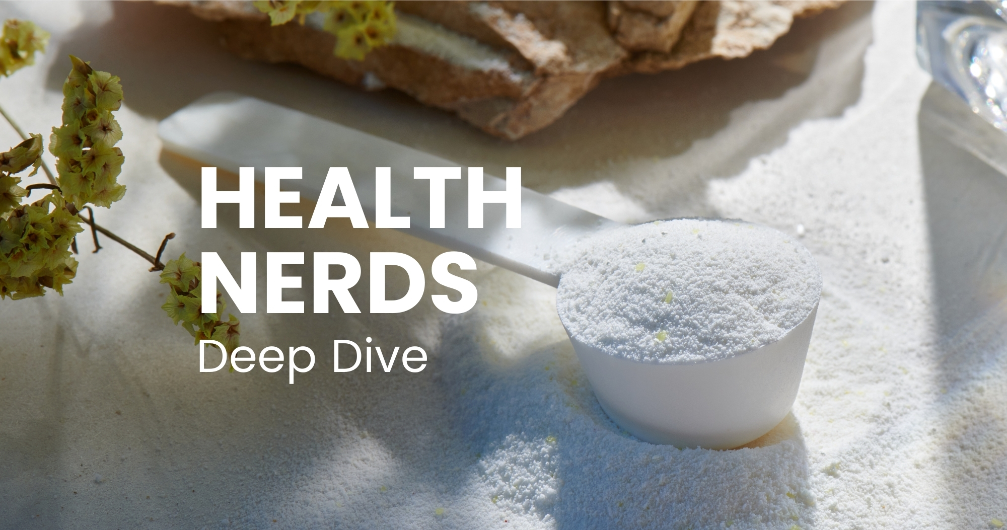 DEEP DIVE: L-Glutamin